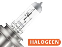 Halogeen
